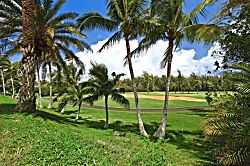 The Ohana Condo at Turtle Bay