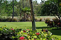 Waikoloa Beach Resort Area