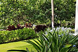 Fairways at Mauna Lani 1602