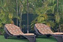 The Honu Villa in Mauna Lani