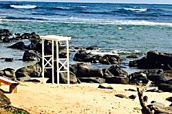 Princeville Tropical Retreat Condo 