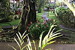 Princeville Tropical Retreat Condo 