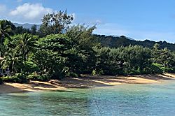 Princeville Tropical Retreat Condo 