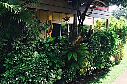 Princeville Tropical Retreat Condo 