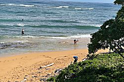 Kauai Kailani KKA 201