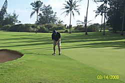 Kauai Kailani KKA 201