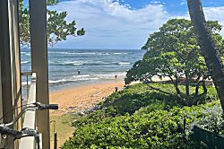 Kauai Kailani KKA 201