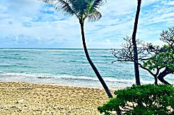 Kauai Kailani KKA 201