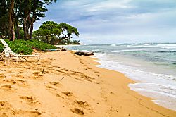 Islander on the Beach Condo