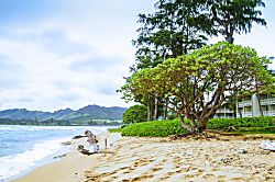 Islander on the Beach Condo