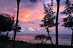 Islander on the Beach Condo