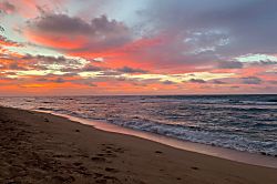 Islander on the Beach Condo
