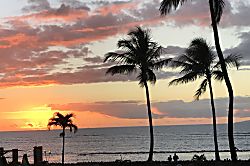 Menehune Shores #203