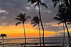 Menehune Shores #203