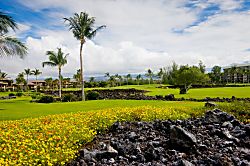 Hali`i Kai Unit 16 B