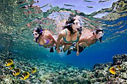 Kauai Beach Resort Studio 307