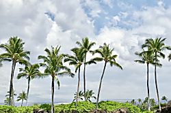 Hale O Aloha Hawaii Big Island