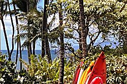 Kihei Bay Surf #254