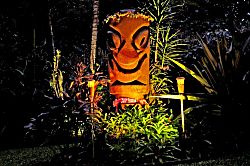 Tiki Hut