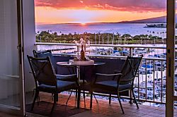 Ilikai Collection #1341