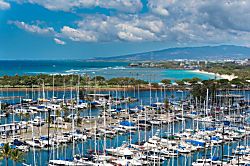 Ilikai Collection #1341