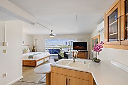 Ilikai Collection #1341