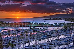 Ilikai Collection #1341