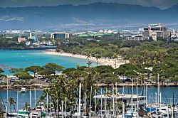 Ilikai Collection #1341