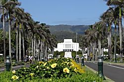 Paradise in Turtle Bay 