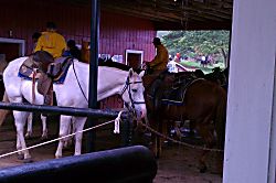 Paradise in Turtle Bay 