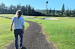 Paradise in Turtle Bay 