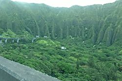 Paradise in Turtle Bay 