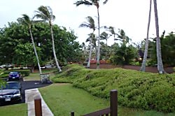 Paradise in Turtle Bay 