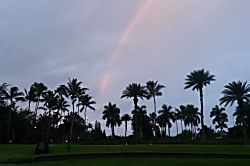 Paradise in Turtle Bay 