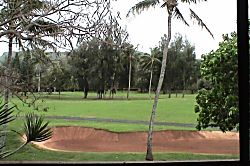 Paradise in Turtle Bay 