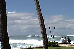 Paradise in Turtle Bay 