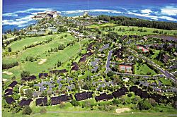 Paradise in Turtle Bay 