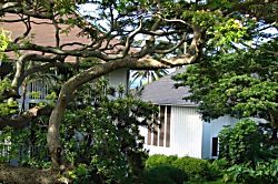 Kiahuna Plantation 223 (Building 35)