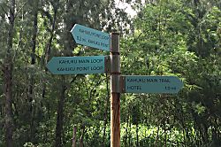 Turtle Bay Condo Unit 99