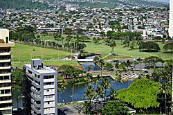 Waikiki Banyan Condo Rental