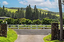Red 'Ohana 3BD, Waimea, Hawaii - Miscellaneous