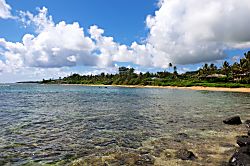 Hale Aloha Beachfront Estate 