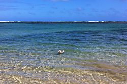 Hale Aloha Beachfront Estate 