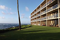 Kuhio Shores 204
