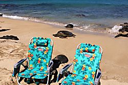 Kuleana Resort Ocean View Condo