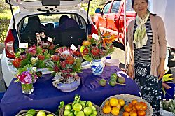 Kihei Kai Nani #245, Bldg. 11