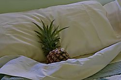 Kihei Kai Nani #245, Bldg. 11