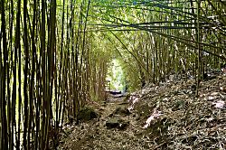 Kihei Kai Nani #245, Bldg. 11