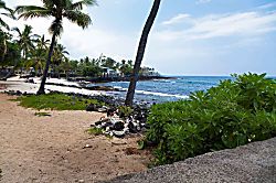 Kona Reef Ocean View Condo with Full AC