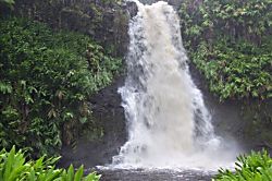 Kona Reef Ocean View Condo with Full AC